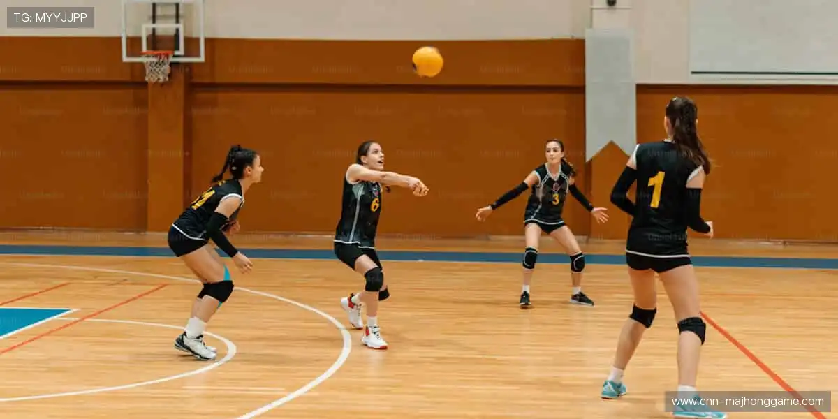 ⚽激情永不落幕，赛事官网带你感受纯粹的竞技魅力！